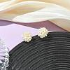 Natural Cultured Freshwater Pearl Stud Earrings EJEW-JE07283-1