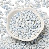 Baking Paint Glass Seed Beads X1-SEED-F006-01A-02-2