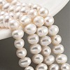 Natural Cultured Freshwater Pearl Beads Strands PEAR-C003-26-2