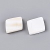 Natural Freshwater Shell Beads BSHE-T014-46-3
