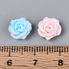 Opaque Resin Beads RESI-N052-01-5