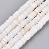 Natural Freshwater Shell Beads Strands SHEL-Q028-01-2