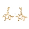 Brass Pendants KK-L255-01G-05-1