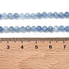 Natural Devil Blue Aquamarine Beads Strands G-P629-A03-03-5