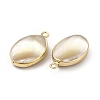 Natural Trochus Shell Charms LS-PEAR-P004-49KCG-3
