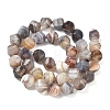 Natural Botswana Agate Beads Strands G-C267-B09-3