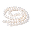 Natural Cultured Freshwater Pearl Beads Strands PEAR-I007-07O-04A-3