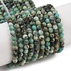 Natural African Turquoise(Jasper) Beads Strands X-G-P472-01-1