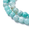 Natural Dyed Agate Imitation Turquoise Beads Strands G-P425-02A-12mm-3