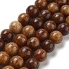 Natural Gemstone Beads Strands G-H045-A01-6MM-2