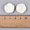 Natural Trochus Shell Carved Beads SHEL-Q028-11-3