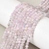 Natural Kunzite Beads Strands G-G343-B03-3mm-1
