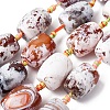 Natural Fire Crackle Agate Beads Strands G-P605-D01-01-2
