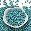 Opaque Colours Glass Seed Beads SEED-C001-02B-16-2