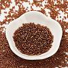 Baking Paint Glass Seed Beads SEED-S042-18B-01-2