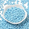 6/0 Opaque Baking Paint Glass Seed Beads SEED-M012-02A-13-2