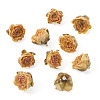 10Pcs Preserved Rose Pendants KY-TA0001-59D-3