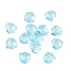 Transparent Acrylic Beads AC-CBA5019-05-1