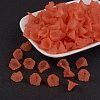 Transparent Acrylic Beads PL622-C12-1