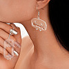 Alloy Acrylic Dangle Earrings FS-WG82E0C-04-1