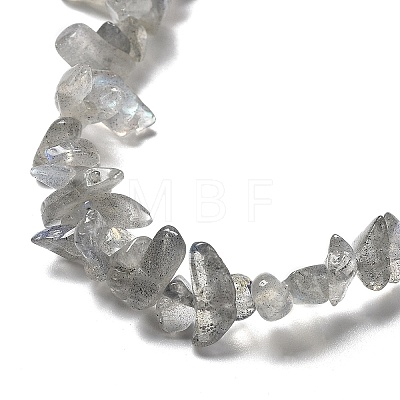 Natural Labradorite Beads Strands G-E607-A02-1