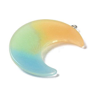 Gradient Color Translucent Resin Pendants FIND-Z006-03B-1