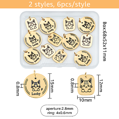DICOSMETIC 12Pcs 2 Style 316 Surgical Stainless Steel Charms STAS-DC0011-43-1