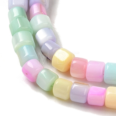 Rainbow Color Dyed Natural Freshwater Shell Beads Strands X1-SHEL-G018-02D-1