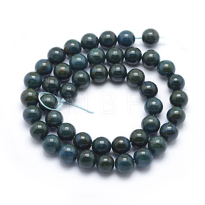 Dyed Natural Gemstone Beads Strands G-F556-10mm-1