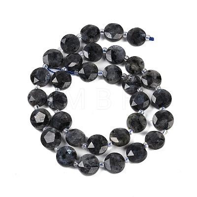 Natural Larvikite Beads Strands G-C116-A45-01-1