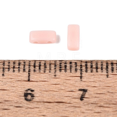 Opaque Acrylic Slide Charms OACR-Z010-02Q-1
