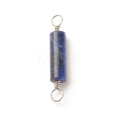 Natural Sodalite Connector Charms PALLOY-JF01574-01-1