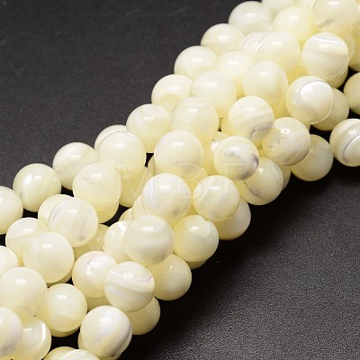 Shell Beads Strands X-SSHEL-E571-39-6mm-1