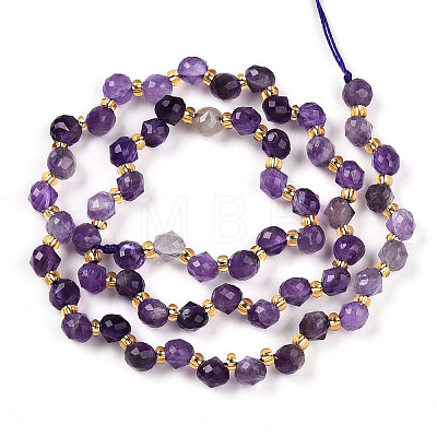 Natural Amethyst Beads Strands G-T141-48-1