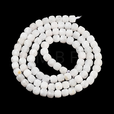 Natural Rainbow Moonstone Beads Strands G-H042-A02-02-1