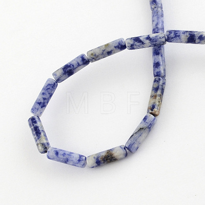 Natural Blue Spot Gemstone Beads Strands X-G-R181-16-1