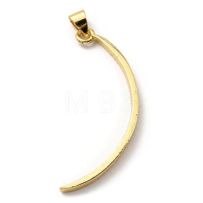 Brass with Cubic Zirconia Pendants KK-K341-32G-1