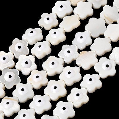 Natural Freshwater Shell Beads Strands SHEL-A006-03E-1