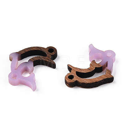 Opaque Resin & Walnut Wood Connector Charms RESI-N039-46G-1