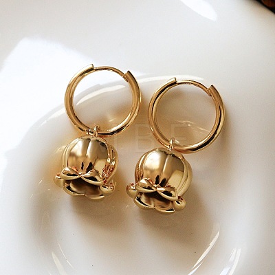 Brass Hoop Earrings for Women WG021FE-01-1