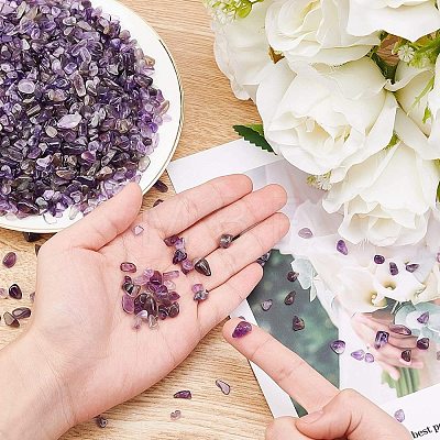Natural Amethyst Chips Beads G-GA0001-19-1