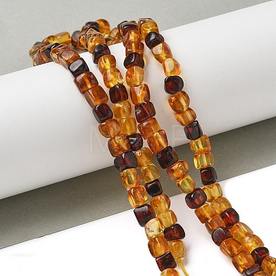 Natural Amber Beads Strands G-K387-E02-01-1