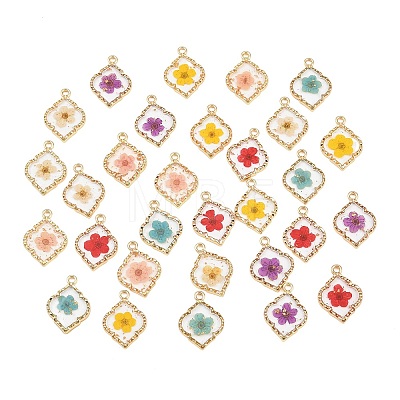 Alloy Epoxy Resin Pendants FIND-Z114-01G-01-1