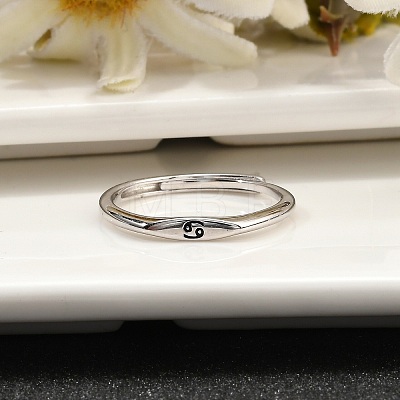 Rhodium Plated 925 Sterling Silver Adjustable Rings RJEW-S397-01P-04-1