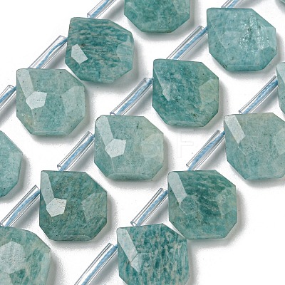 Natural Amazonite Beads Strands G-P544-C07-01-1