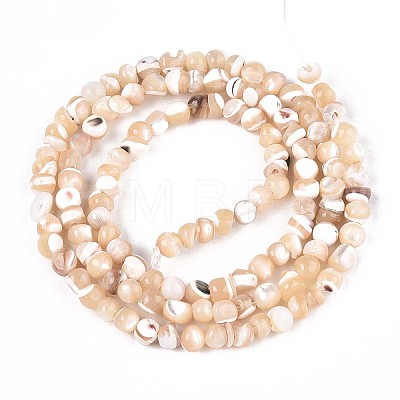 Natural Trochid Shell/Trochus Shell Beads Strands SSHEL-N040-10-1