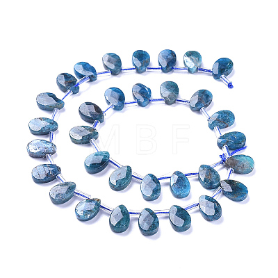 Natural Apatite Beads Strands G-G805-B02-1