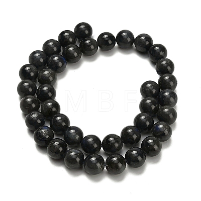 Natural Black Labradorite Beads Strands G-L642-B15-10mm-1