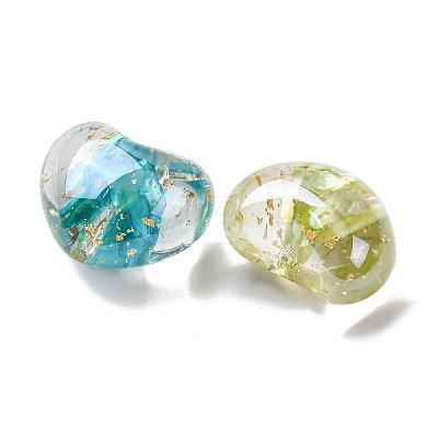 Transparent Resin & Dyed Natural Shell Beads RESI-G119-09-1