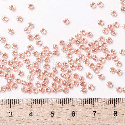MIYUKI Round Rocailles Beads X-SEED-G008-RR0539-1